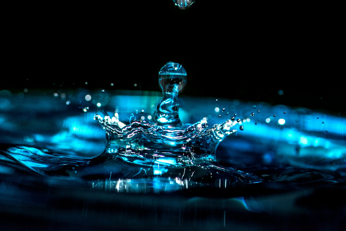 Foto von Erda Estremera auf Unsplash