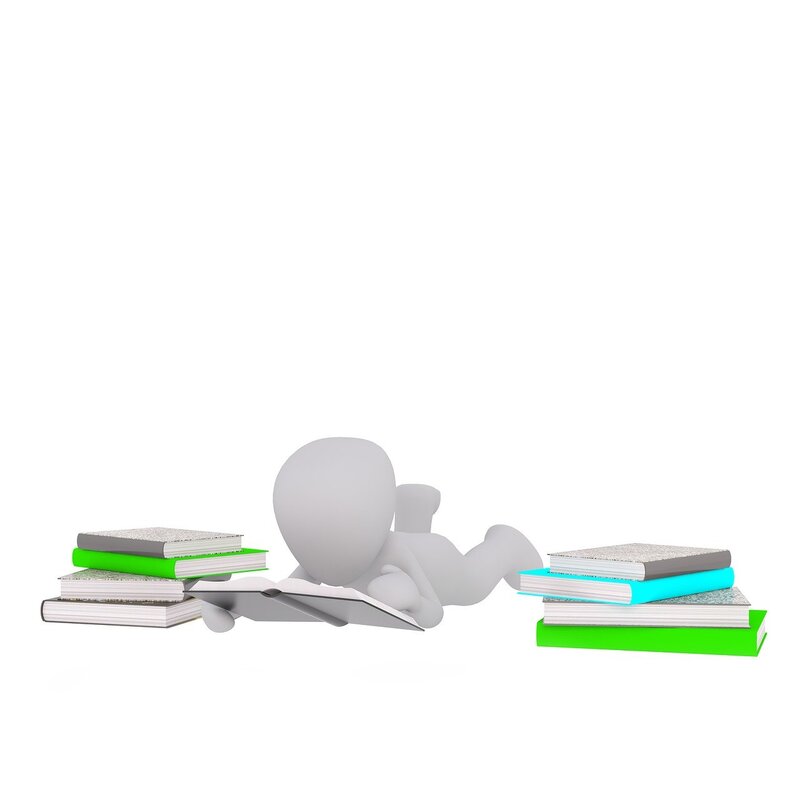 Image by Peggy und Marco Lachmann-Anke from Pixabay